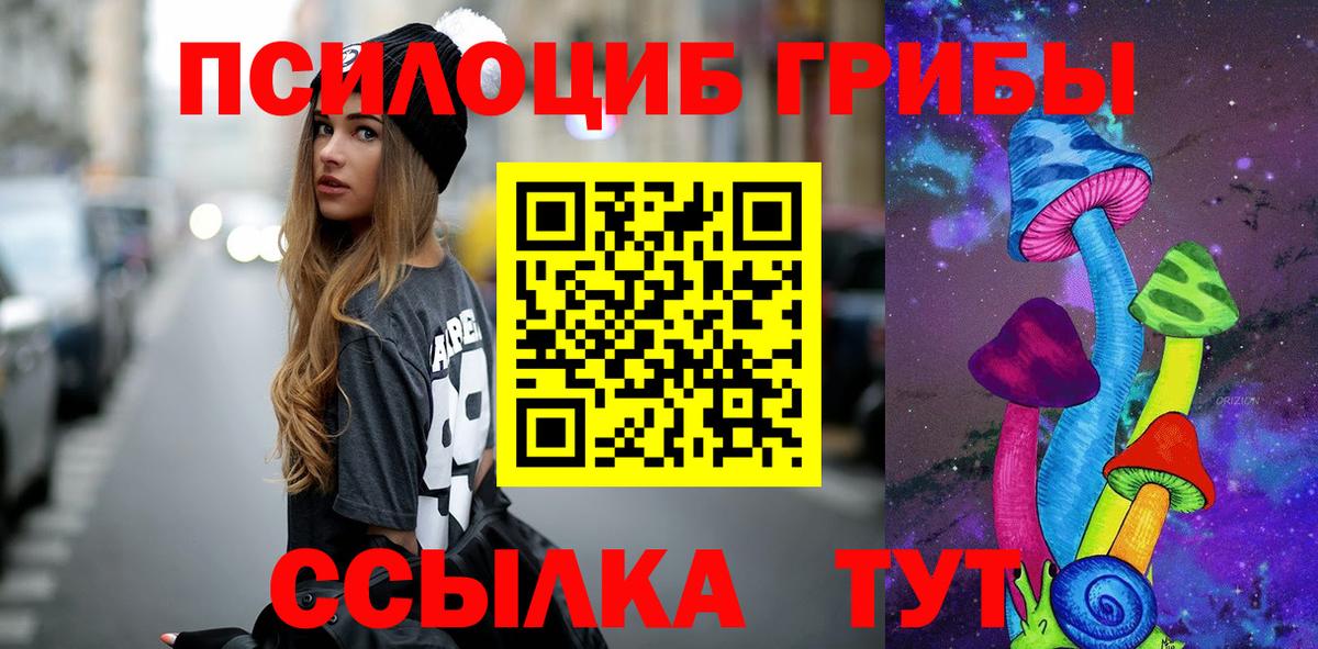 Псилоцибиновые грибы Psilocybe Подольск